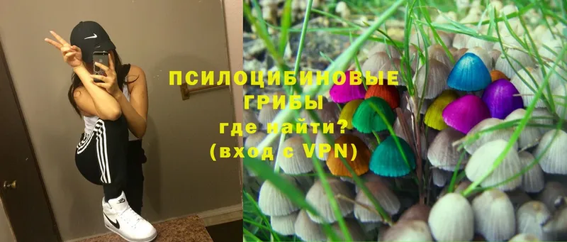 это наркотические препараты  OMG ссылки  Кувшиново  Псилоцибиновые грибы Magic Shrooms 